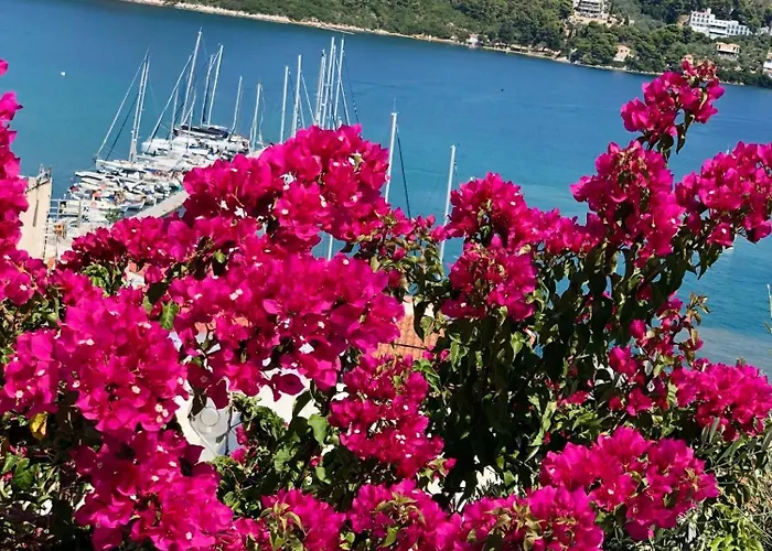 Oikies Skiathos Holiday home